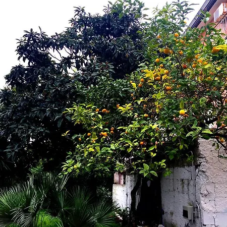 Orange Garden * Minturno