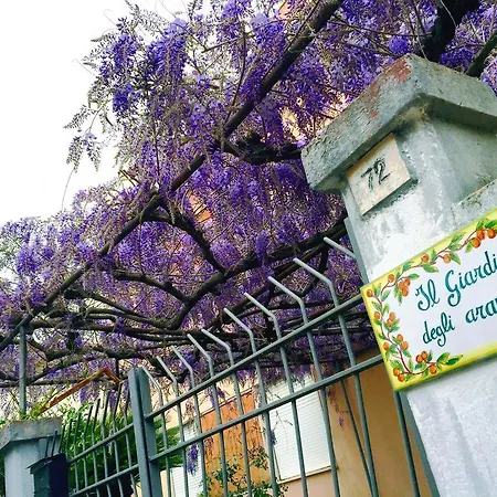 Orange Garden Appartamento *